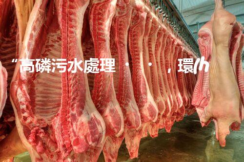 “高磷污水處理，環(huán)保先鋒，守護碧水藍天！”